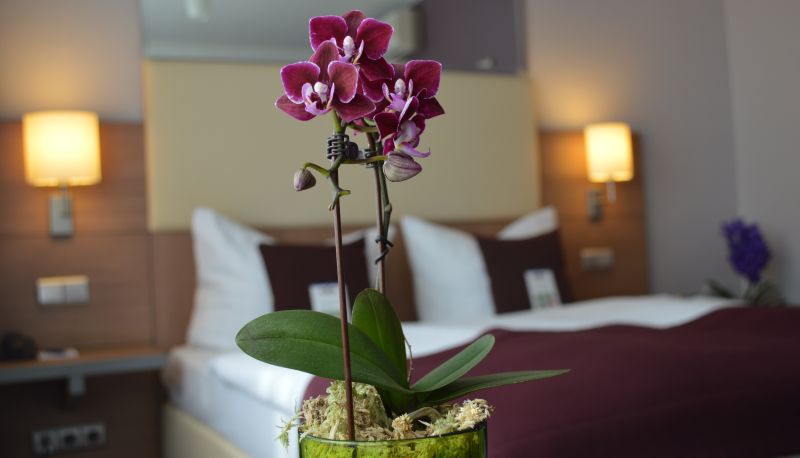 Habitación superior (doble) - Hotel Scala Frankfurt City Centre