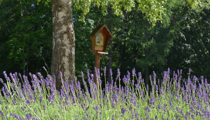 Garten - Das Kranzbichlhof