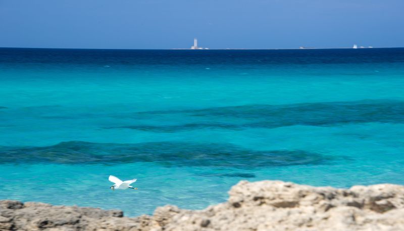 Plage - Le Sirene Hotel Ecoresort