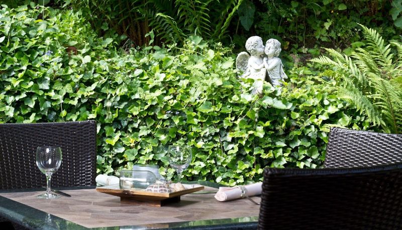 Hotel outdoor area - Berg Landhotel