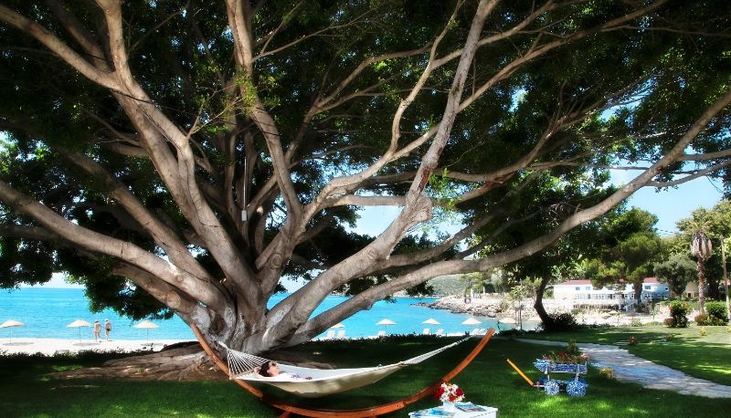 Giardino - Marvel Tree Hotel