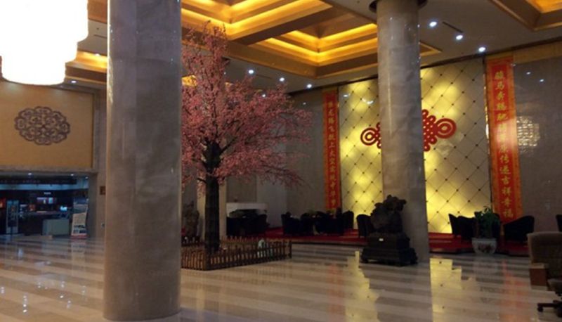 Hall - Alanshan hotel