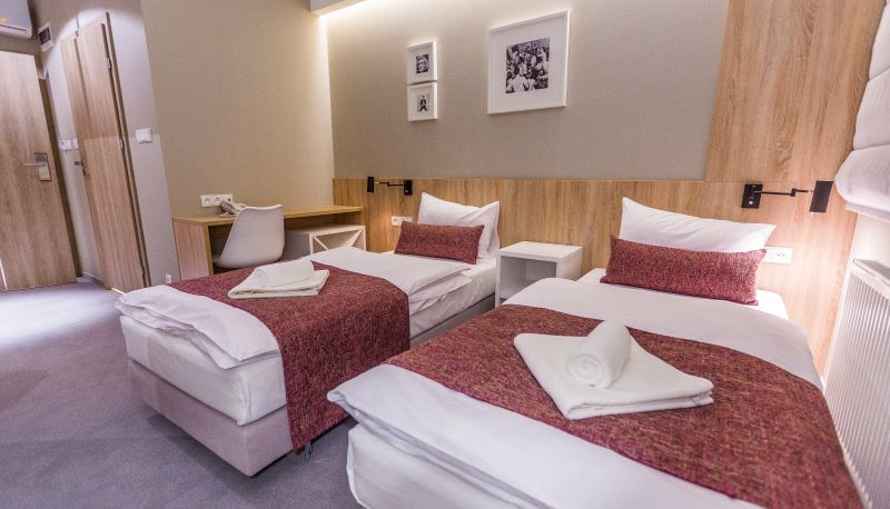 Camera standard (doppia) - Hotel Falcon