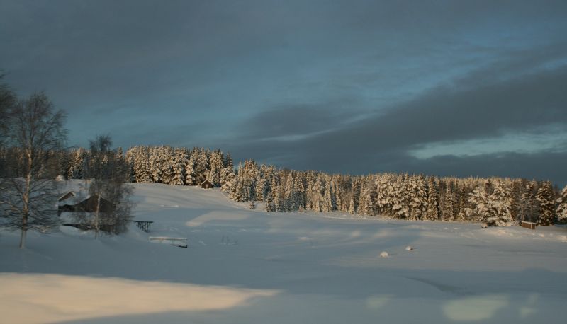 Dintorni - Gamla skolan
