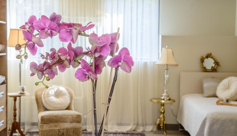 Apartamento - Saules Club Aparthotel