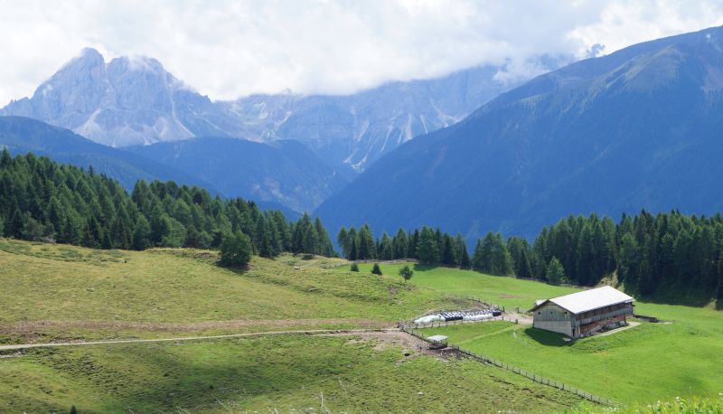 Info - Alpenrose