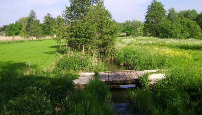Surrounding - WAGNERS Hotel Greifen-Post Nichtraucherhotel
