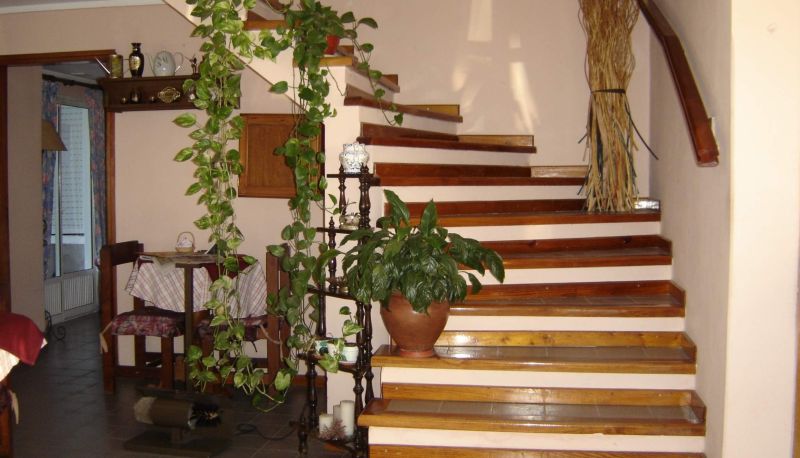 Wnętrze hotelu - Nuevo Hotel Jardin
