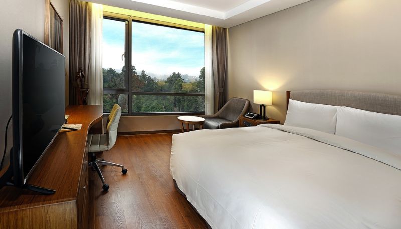 Standardzimmer (Einzel) - Parksunshine Jeju