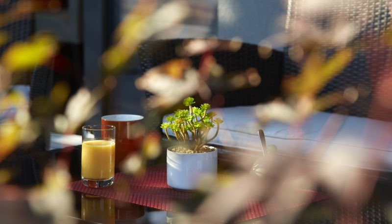 Extérieur de l'hôtel - Hotel Wilder Mann