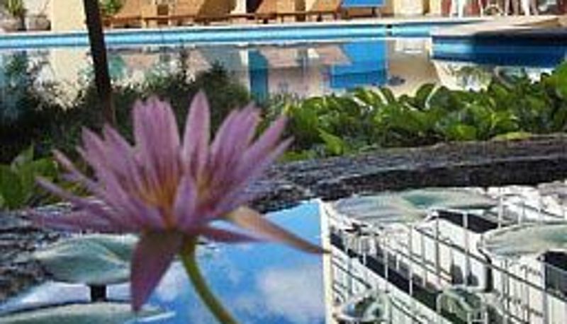 Garden - Maria Del Carmen