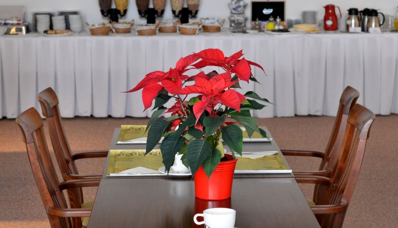 Breakfast room - Dvořák