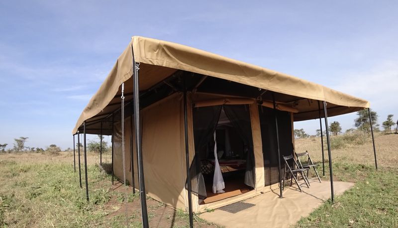 Chambre standard (double) - Serengeti Wildebeest Camp