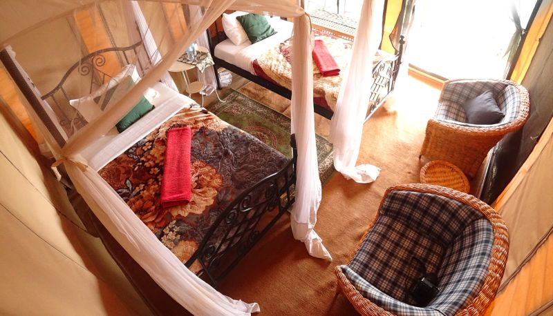 Chambre standard (double) - Serengeti Wildebeest Camp