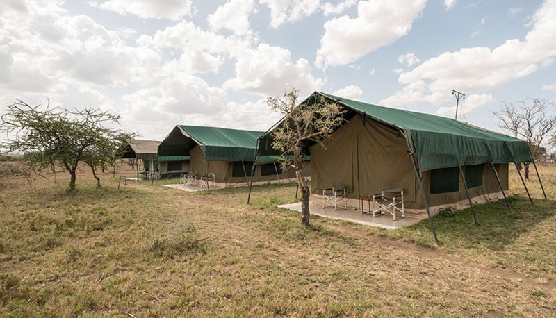 Camera standard (doppia) - Serengeti Wild Camps