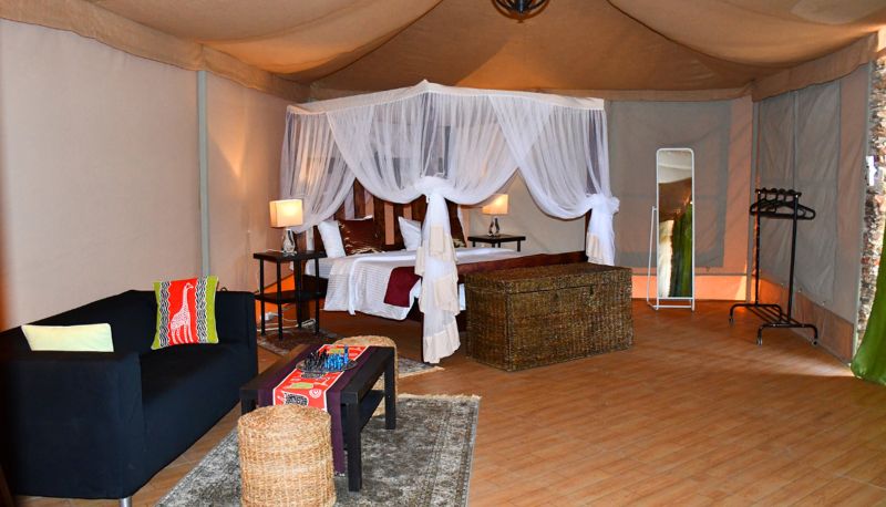 Pokój standardowy (dwuosobowy) - Serengeti Safari Lodge