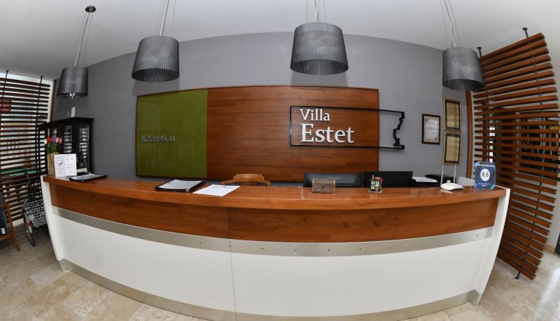 Reception - VİLLA ESTET BAĞ OTEL