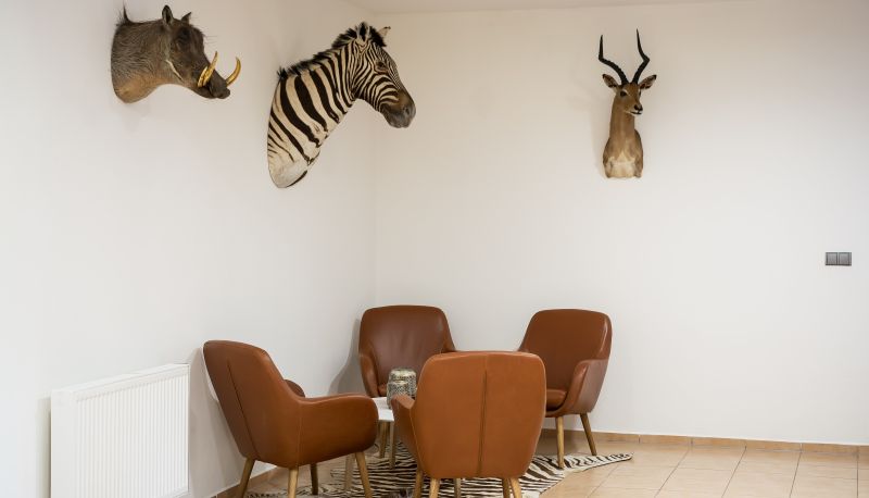 Hotel interior - Hotel Dania