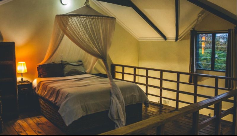 Habitación estándar (doble) - Eden Estate And Boutique Lodge