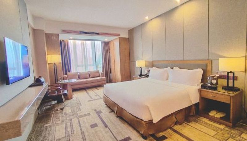 Kamer - Xinghe Shanshui Hotel