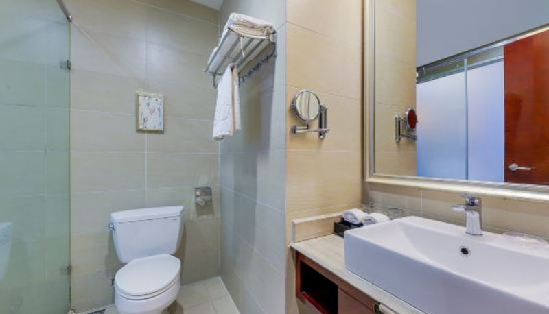 Camera - Wojin Hotel Zhengzhou Xinzheng International Airport
