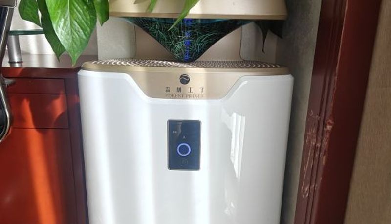 Camera - Ordos Tieniu Phoenix Hotel
