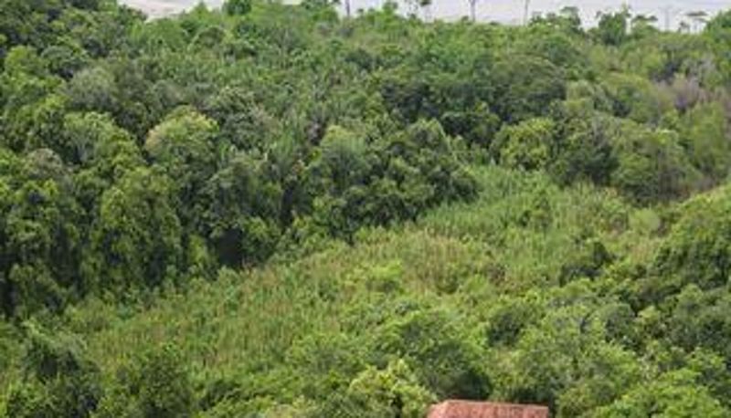 Vue extérieure - HACIENDA BARRIGONA
