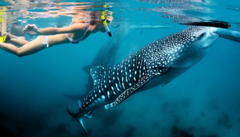 Strefa odnowy biologicznej - Thanda Island