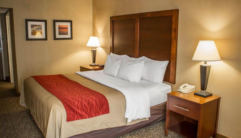 Room - Comfort Inn Research Triangle Park