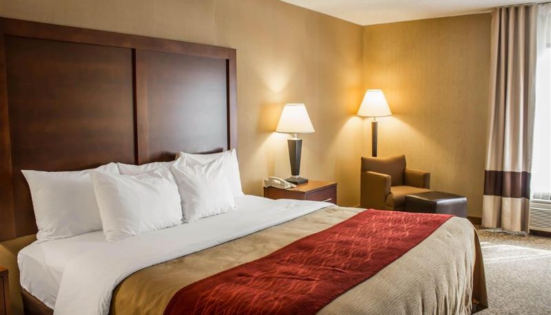 Room - Comfort Inn Research Triangle Park