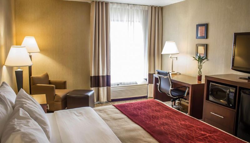 Zimmer - Comfort Inn Research Triangle Park
