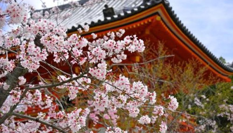 Info - Stay SAKURA Kyoto Gion North