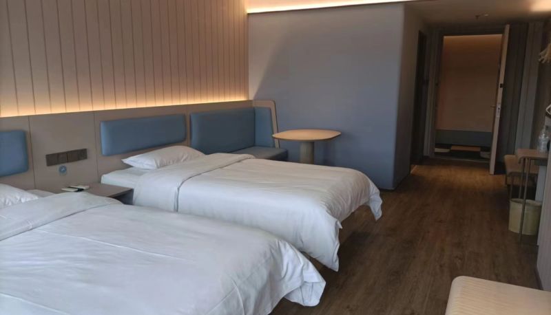 Info - Hanting Wuhu Fanchang Hotel