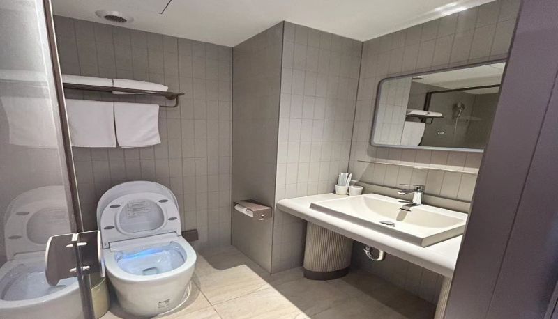 Info - Hanting Wuhu Fanchang Hotel