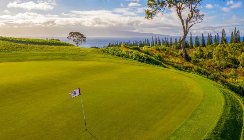 Info - The Ritz-Carlton Maui Kapalua
