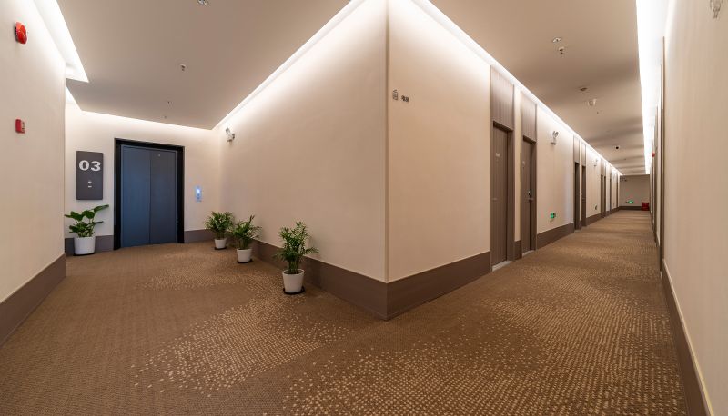 Area esterna dell'hotel - Hanting Shanghai Anting Xinyuan Road Hotel