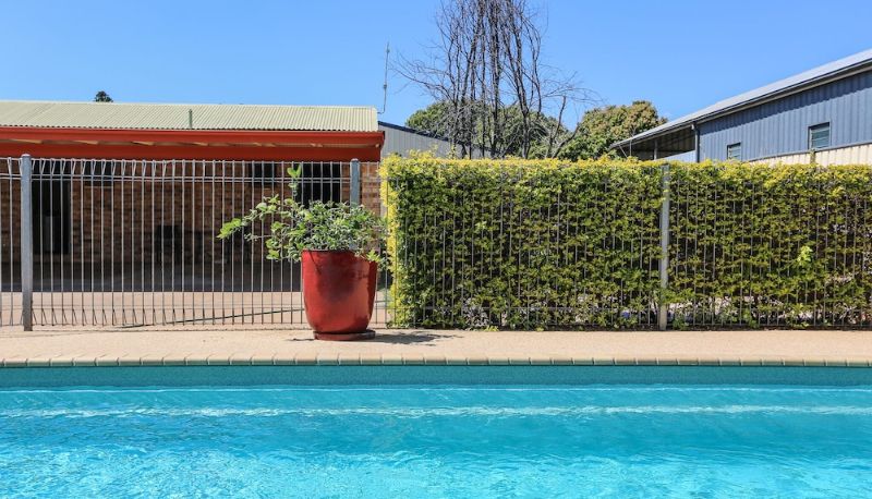 Pool - Clermont Country Motor Inn