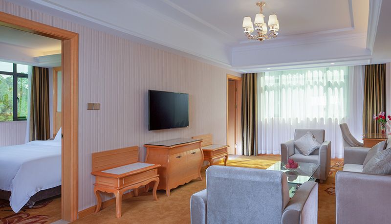 Camera - vienna hotel(Guangdong Meizhou Dapu store) Dapu, Meizhou