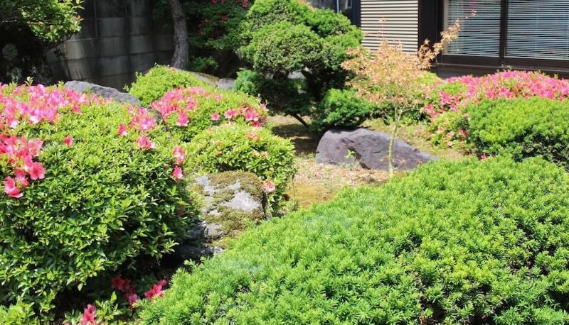 Tuin - Auberge Fujii Fermier