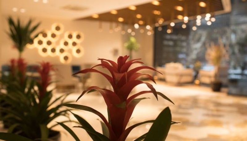 Vista interna - one hotel