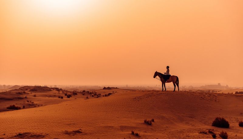 Info - Abu Dhabi  a Luxury Collection Desert Resort & Spa Al Wathba