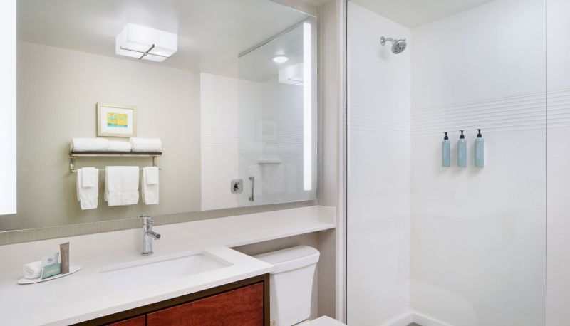 Camera - TownePlace Suites by Marriott Orlando Downtown