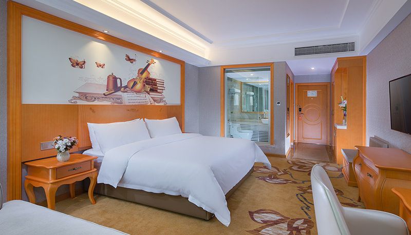 Camera - vienna hotel (Chongqing Qijiang Wanda Plaza Hotel) Chongqing Qianjiang Wanda Plaza