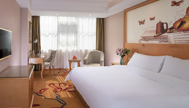 Kamer - Vienna Hotel (Chang de an Xiang Dian Hunan) An'xiang Zhengyi International