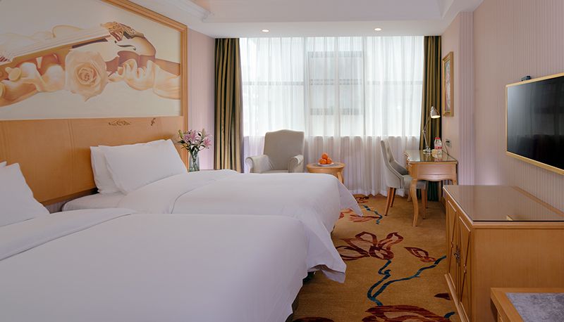Kamer - Vienna Hotel (Chang de an Xiang Dian Hunan) An'xiang Zhengyi International