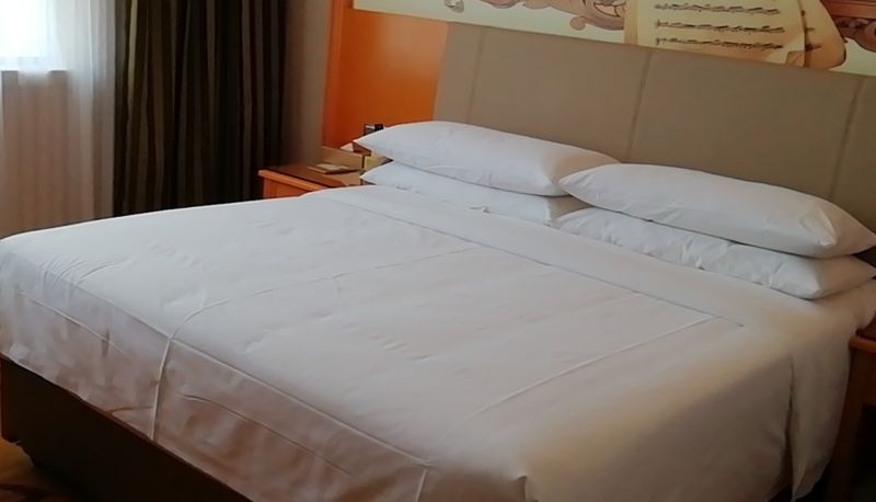 Vista esterna - Vienna Hotel (Leping City Government Branch Jiangxi Province) Jiangxi Leping Municipal Government