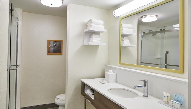 Zimmer - Hampton Inn and Suites Atlanta Midtown