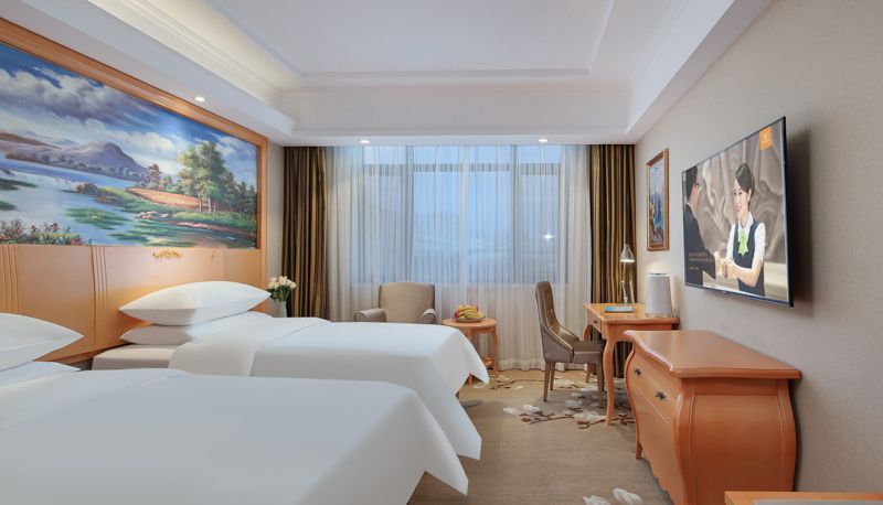 Camera - vienna hotel (Qinghai Dachaidan Hotel)