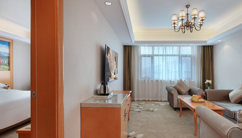 Zimmer - vienna hotel (Qinghai Dachaidan Hotel)