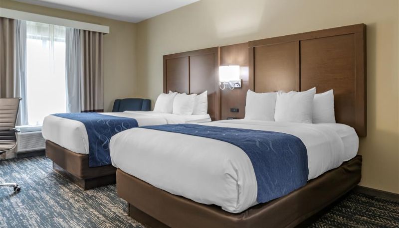 Habitación - Comfort Inn & Suites Downtown near University